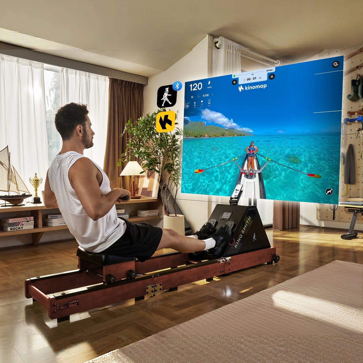 Máquina de remo plegable WR20